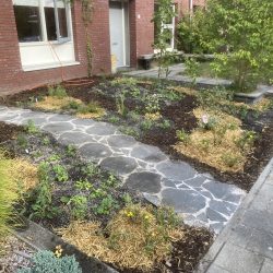 Dynamiek aanbrengen en beplanten